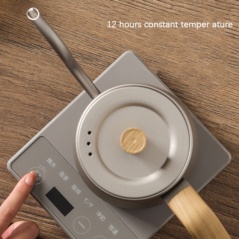 Electric Kettle Gooseneck - 110v 220v czajnik czajniczek gęsia szyja