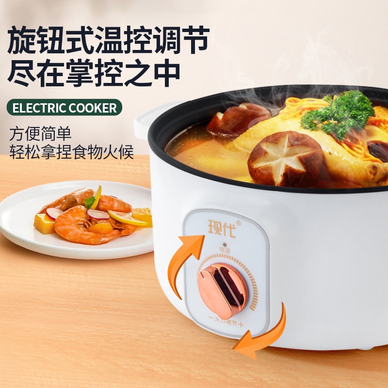 Wielofunkcyjny Mini Elektryczn – Kitchen Appliances Electric recenzja i cena