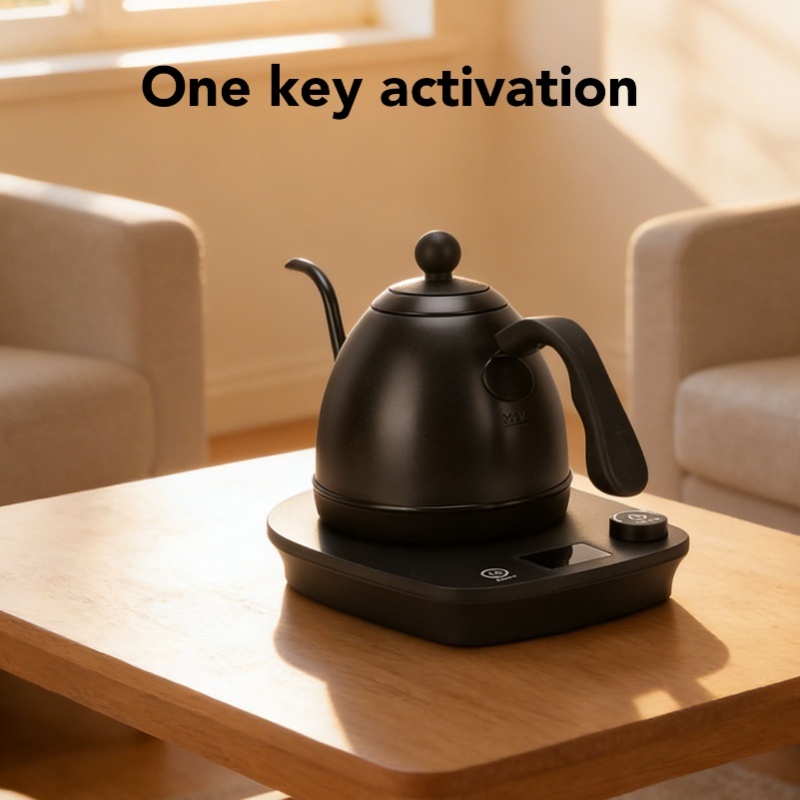 Czajnik elektryczny z giętką w – Electric Kettle Gooseneck recenzja i cena